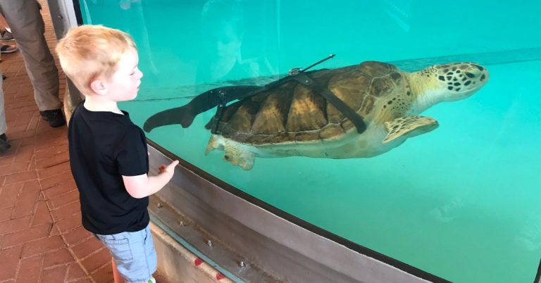 Top 10 Things To Do in South Padre Island Texas