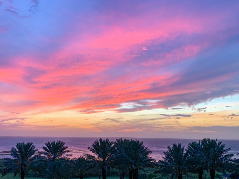 The Ultimate Guide to Galveston Island, Texas